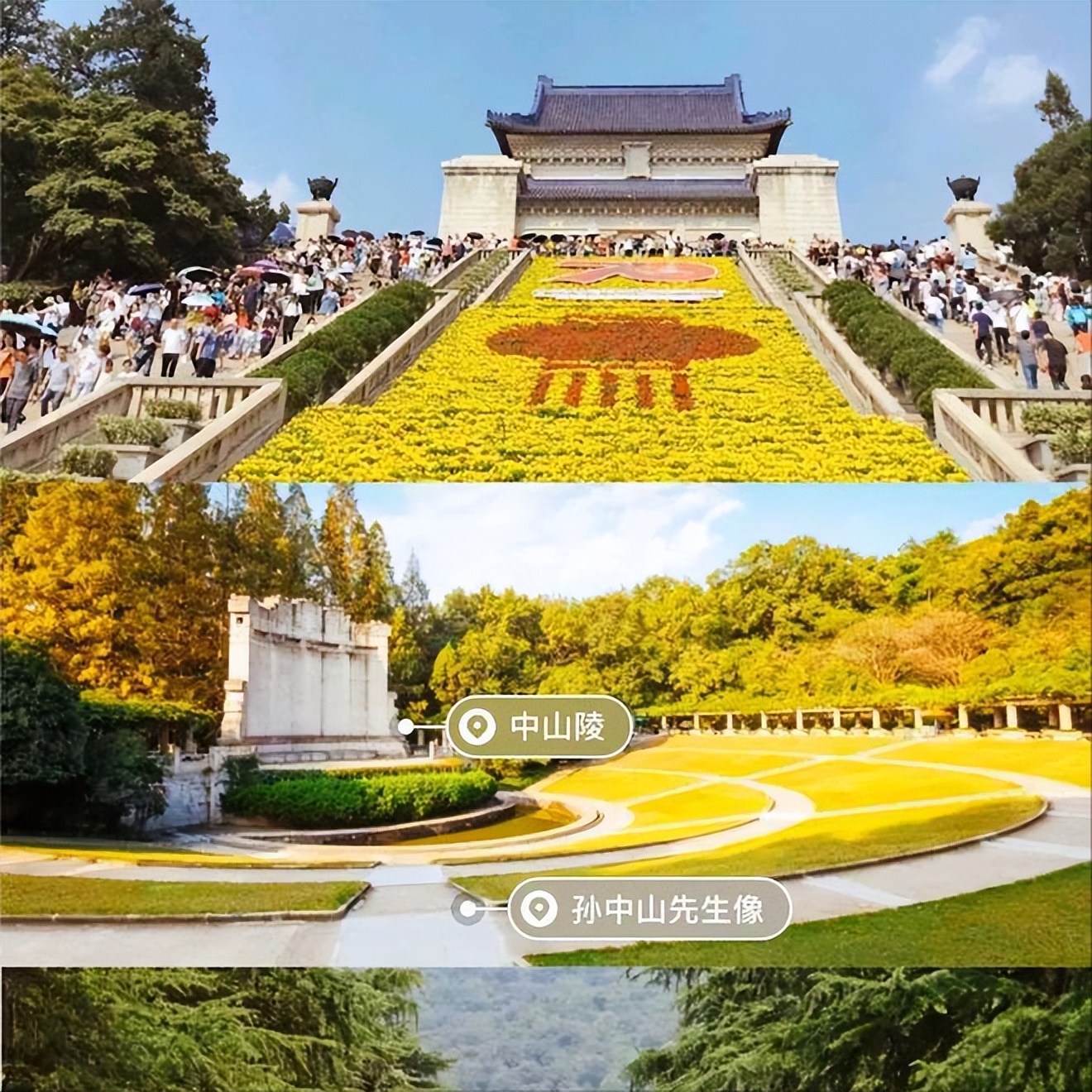 閲戦櫟48鏅槸鍝簺鏅偣,閲戦櫟缇庢櫙鏃呮父鏅偣浠嬬粛