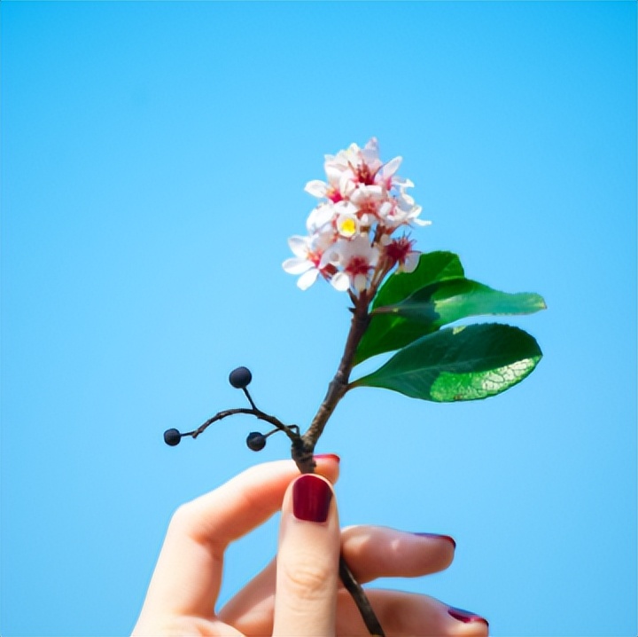 雷军谈年轻人“躺平”,年轻人该躺躺就躺躺
