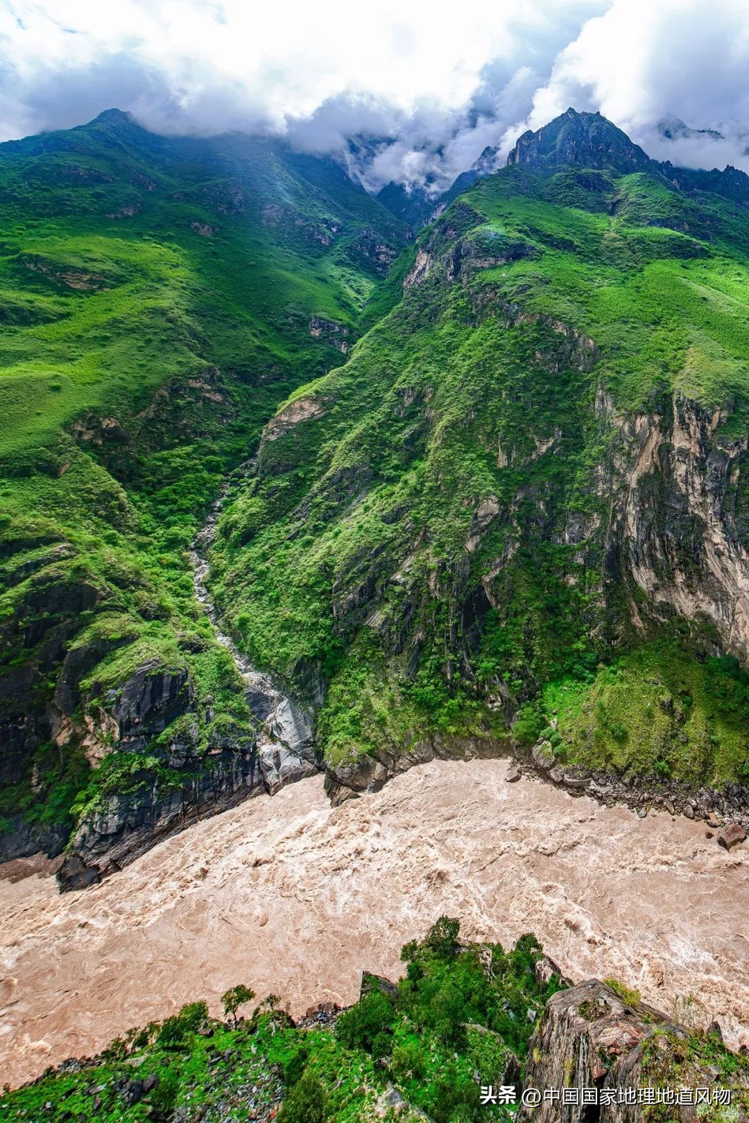 我国哪里盛产火龙果,全国最大的火龙果基地是哪里