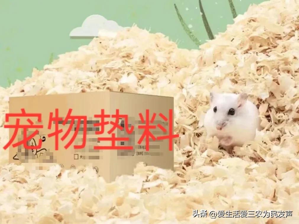 农村适合穷人的18个创业项目赚钱,农村冷门生意赚钱项目