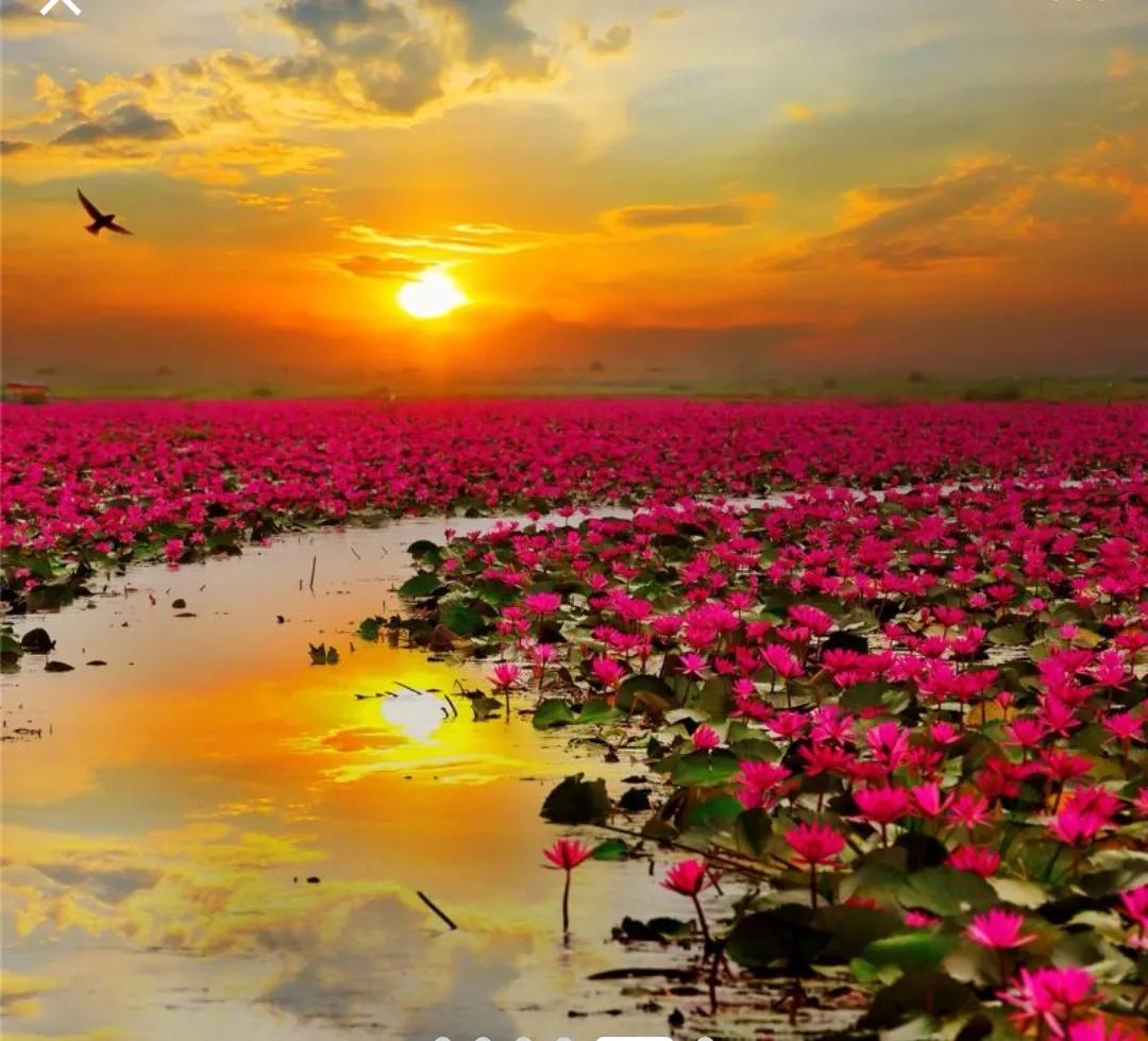 中国诗词精品第131期,中国诗词精品第145期