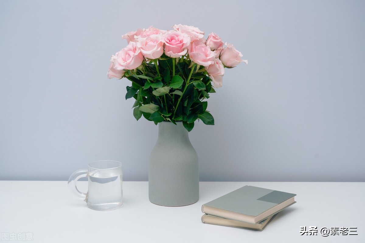 女作家去做保姆441集,女作家去做保姆最新篇441