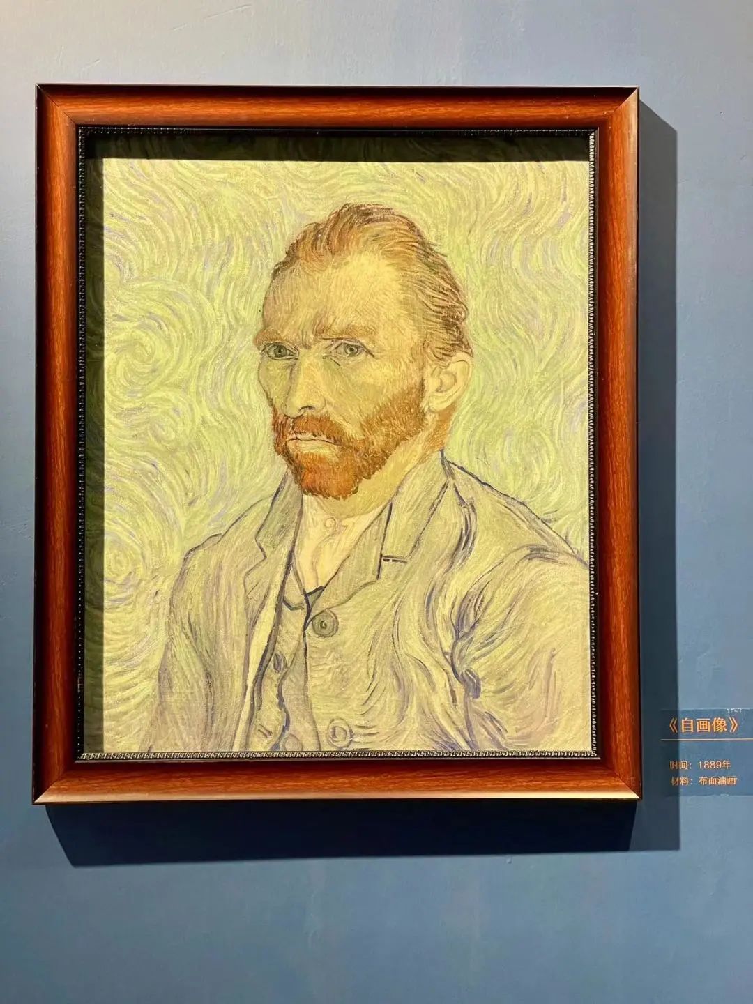 青岛新展！很多小姐姐都去拍照了