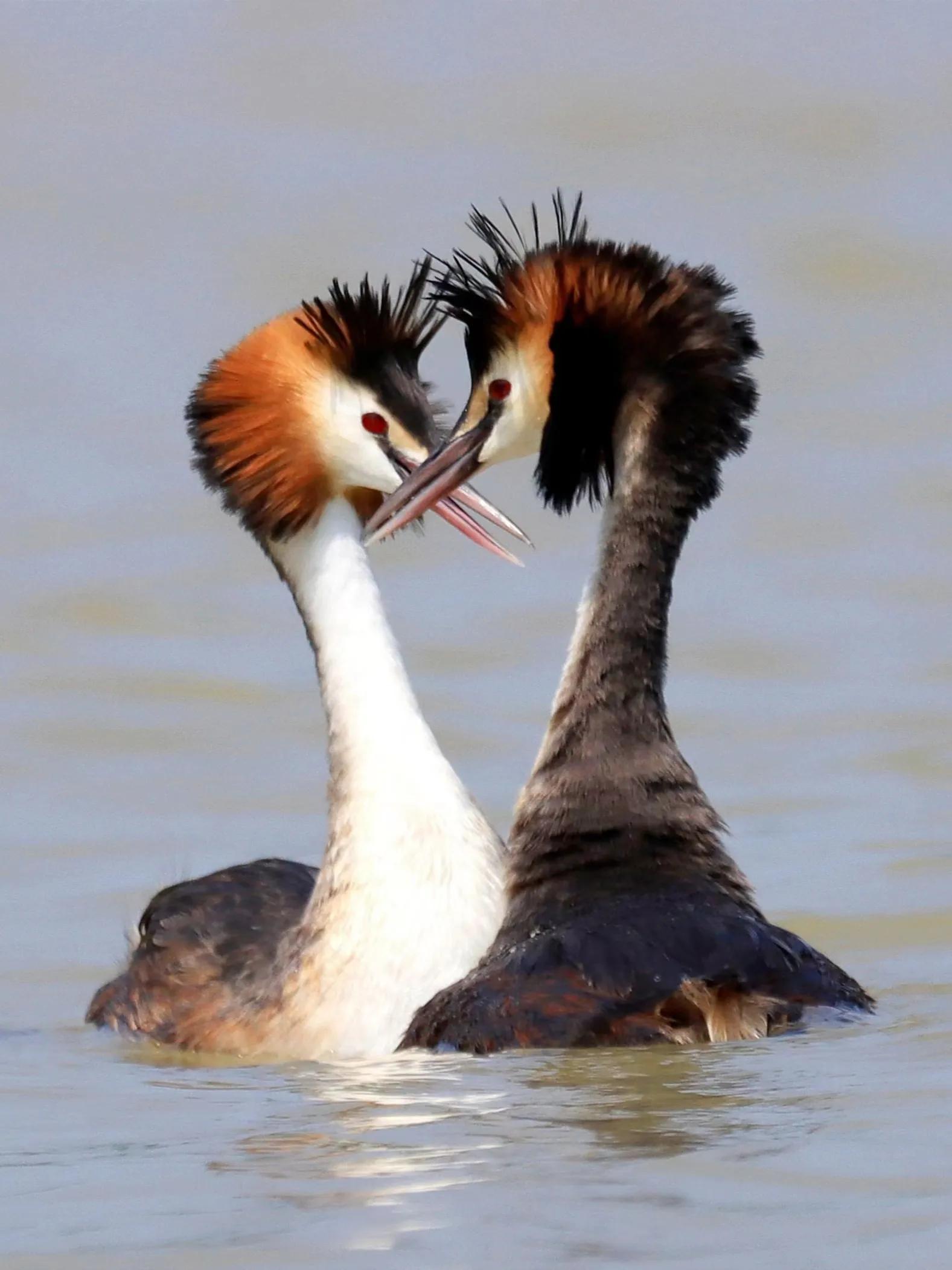 27届全国摄影艺术展评选结果组照,第二十八届全国摄影艺术展览征稿