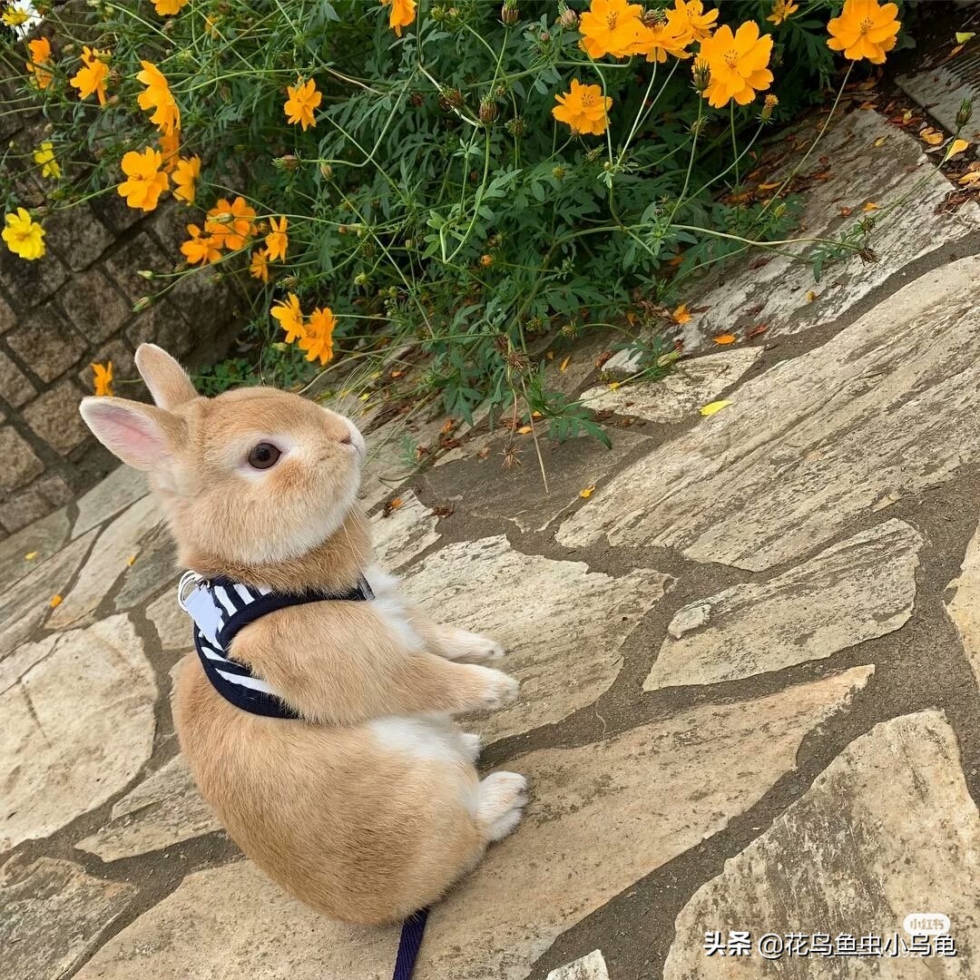 <html>
<head><title>502BadGateway</title></head>
<body>
<center><h1>502BadGateway</h1></center>
<hr><center>nginx</center>
</body>
</html>
<!--apaddingtodisableMSIEandChromefriendlyerrorpage-->
<!--apaddingtodisableMSIEandChromefriendlyerrorpage-->
<!--apaddingtodisableMSIEandChromefriendlyerrorpage-->
<!--apaddingtodisableMSIEandChromefriendlyerrorpage-->
<!--apaddingtodisableMSIEandChromefriendlyerrorpage-->
<!--apaddingtodisableMSIEandChromefriendlyerrorpage-->
