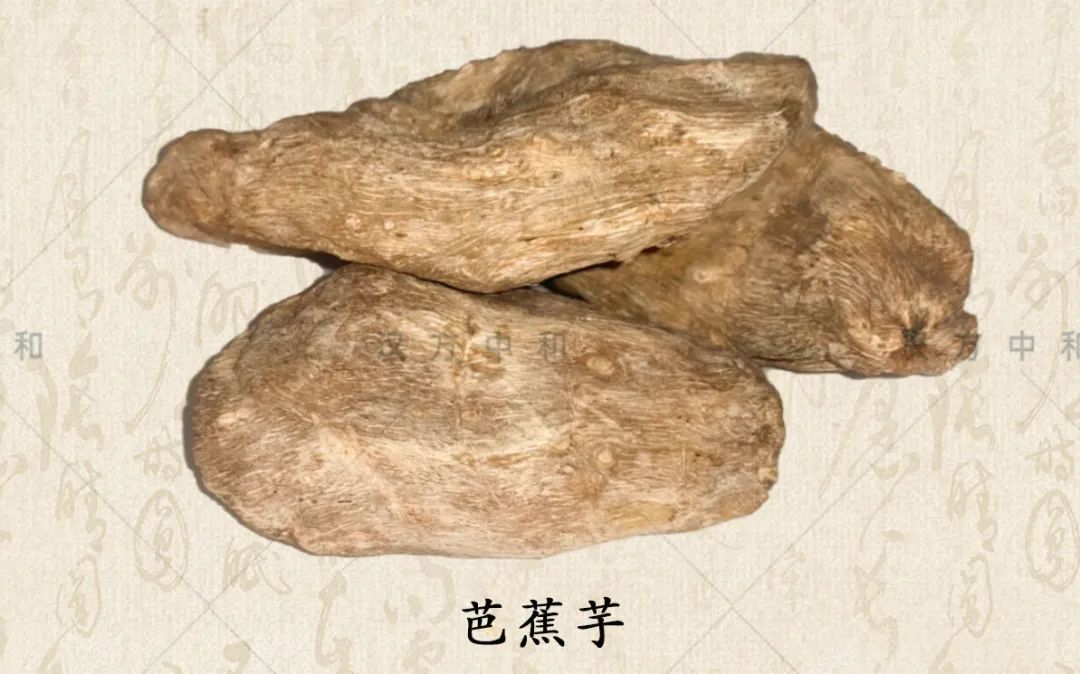 怎么分辨真天麻和假天麻,如何辨别真假天麻