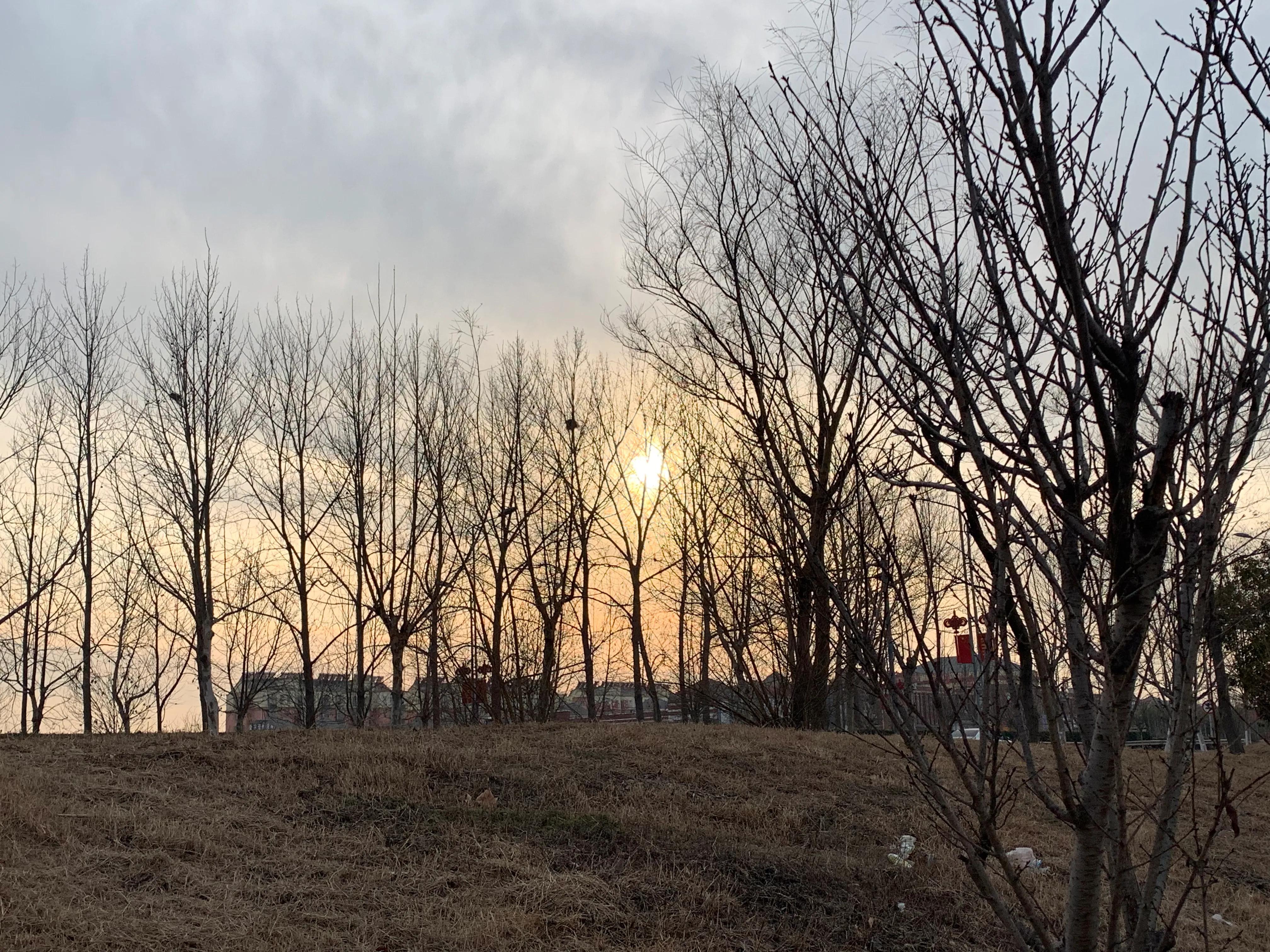 那年,那年花开月正圆