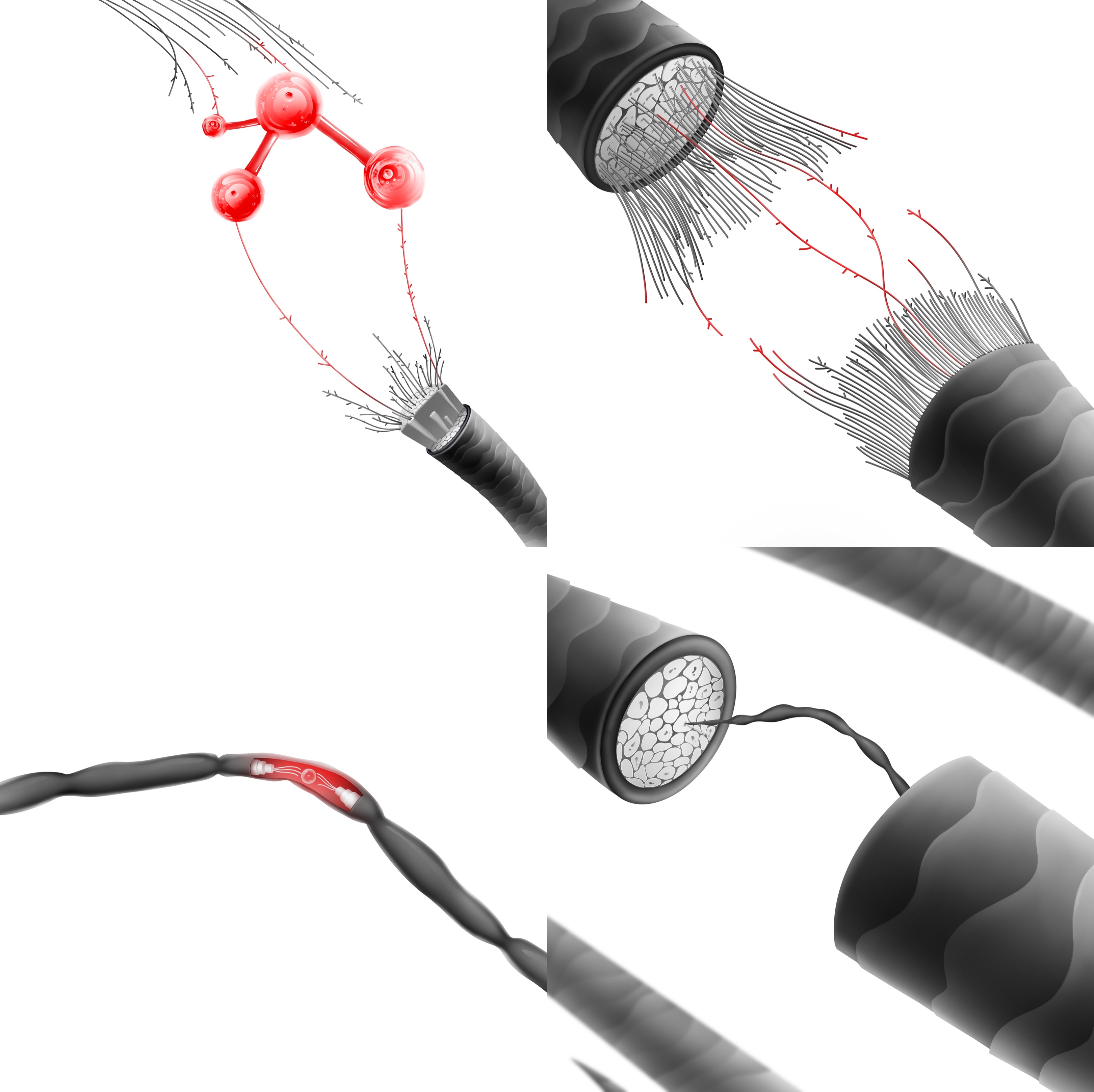 欧莱雅美发产品,欧莱雅高端美发线