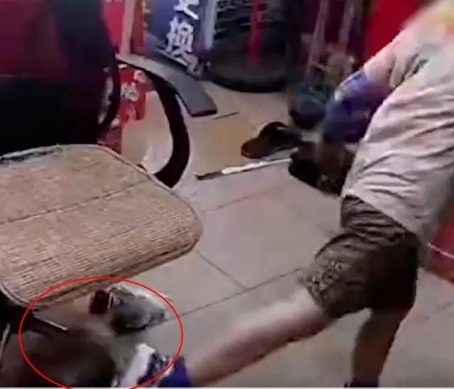 男孩恶意踢11个月婴儿，其家长态度恶劣，扬言有事找她律师