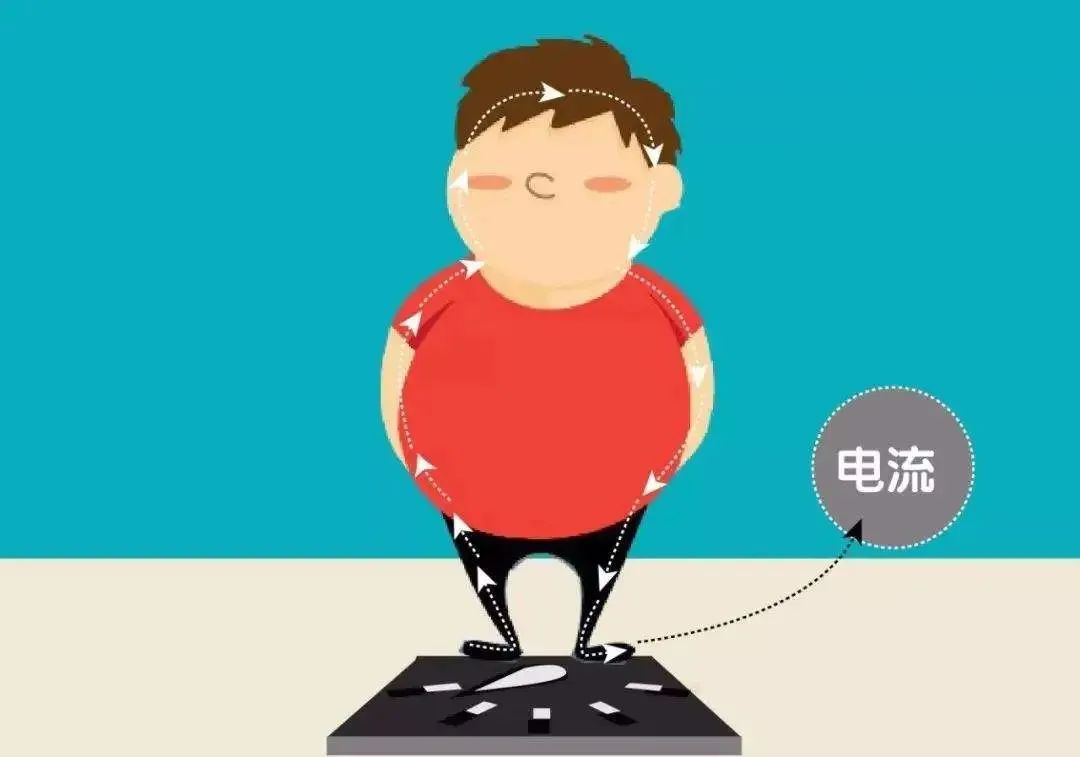 体测仪数据怎么看体脂率,体测表怎么看数据