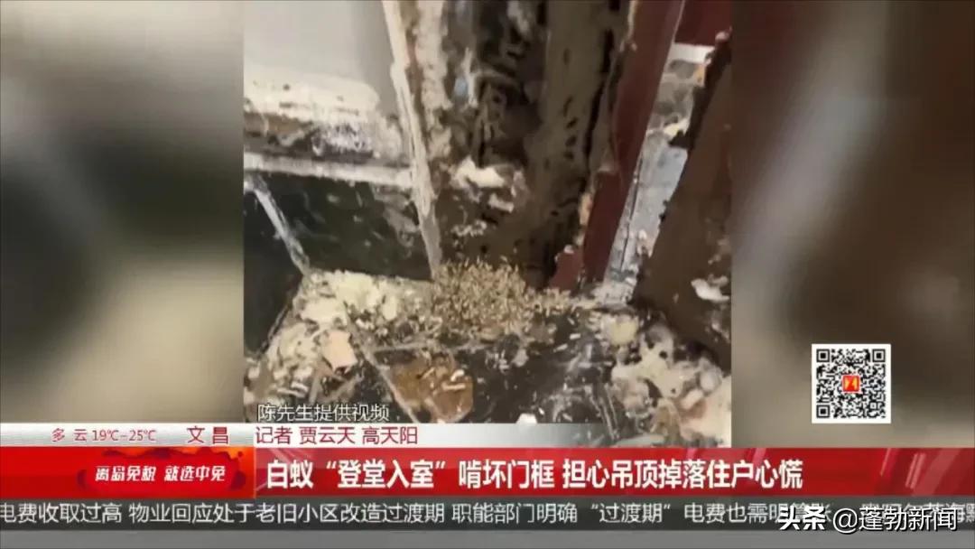 大量白蚁在家中筑巢啃噬家具，令人头皮发麻！如何防范看这里→