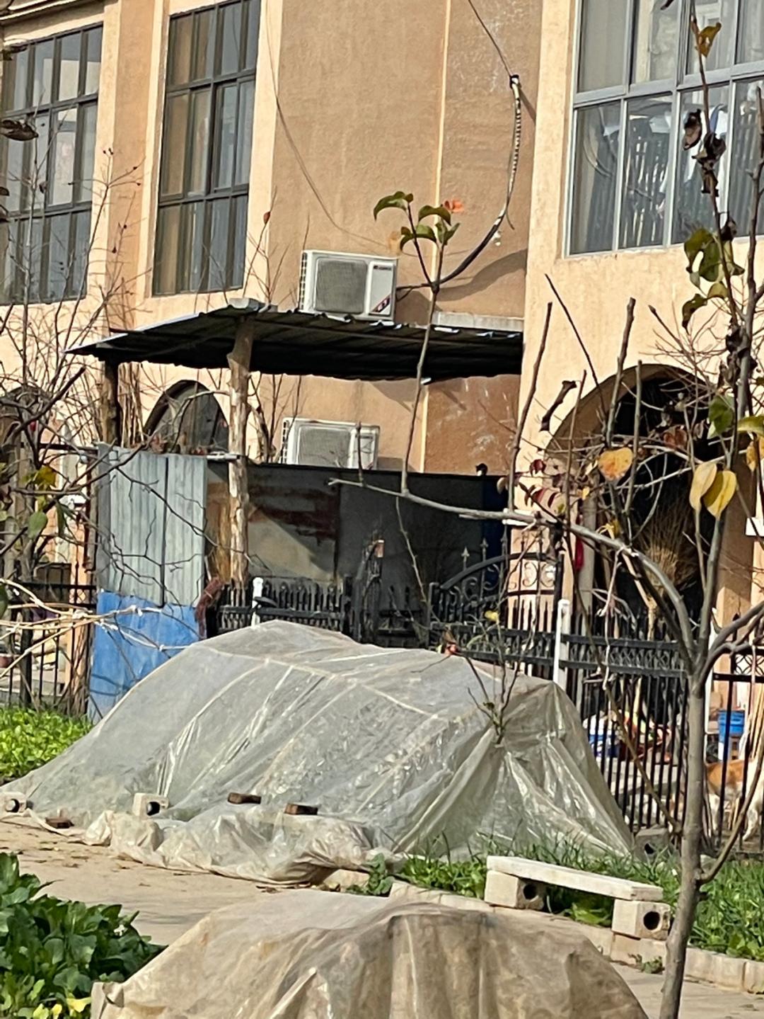 董董骑行山东,懂懂骑山东