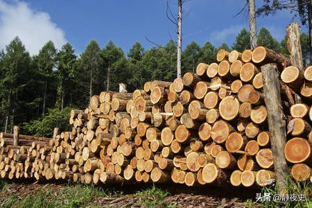 中国？蒙古？还是俄罗斯？到底谁该为东亚愈演愈烈的沙尘暴负责？