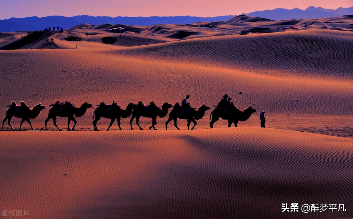 中卫市沙坡头景区,沙坡头旅游景区是5a级吗