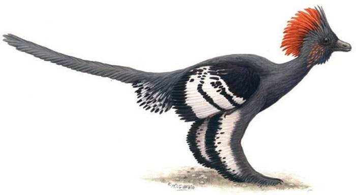 盘点十种能秒杀霸王龙的恐龙,十大比霸王龙厉害的恐龙