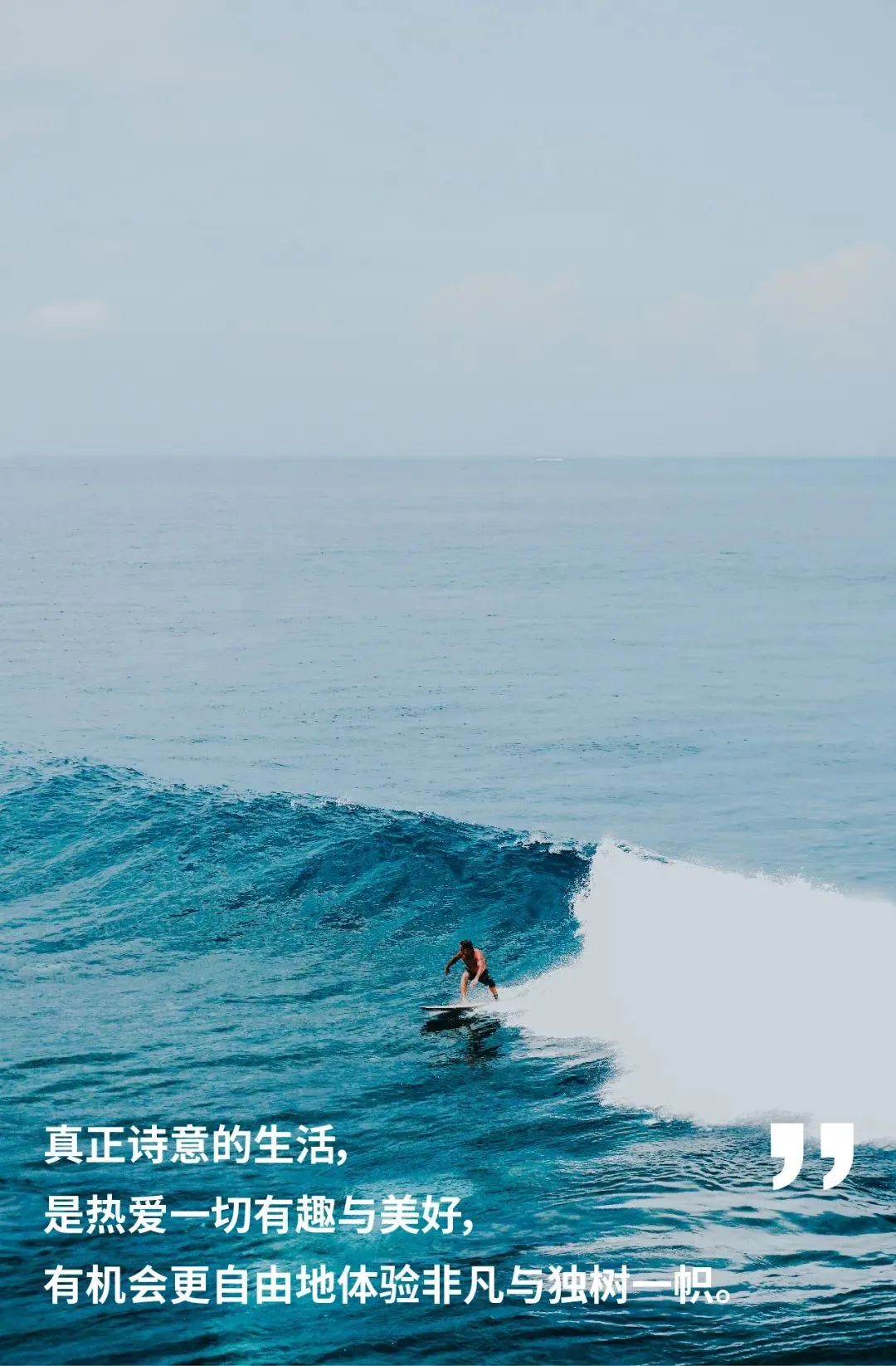 大道恒美×睿谷生态：大品牌战略，赋新生活方式营销