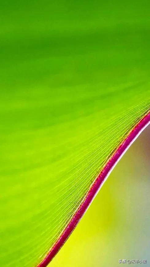 超清超美独一无二手机壁纸图片,养眼养心的壁纸