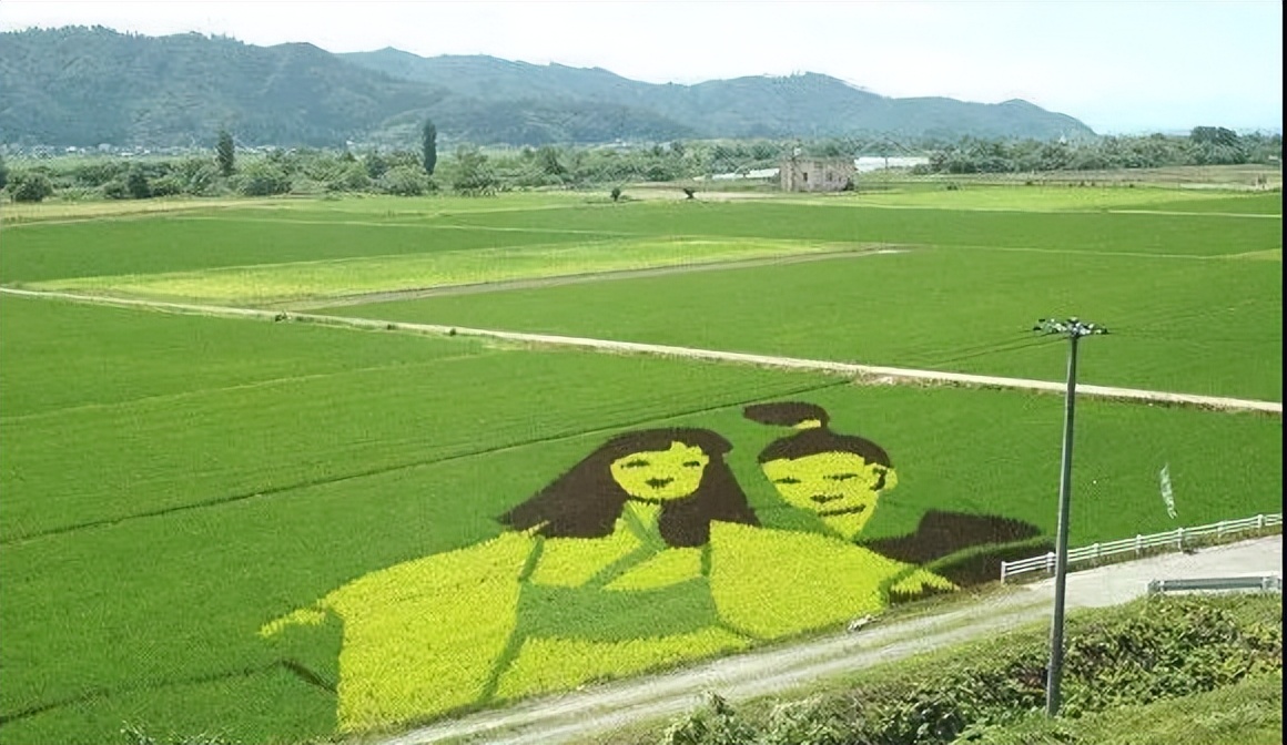 2006年日本企业投资15亿，租下山东1500亩良田，闲置5年杂草丛生