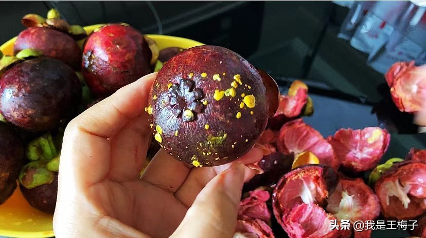 挑选山竹技巧揭示,山竹怎么挑选香甜