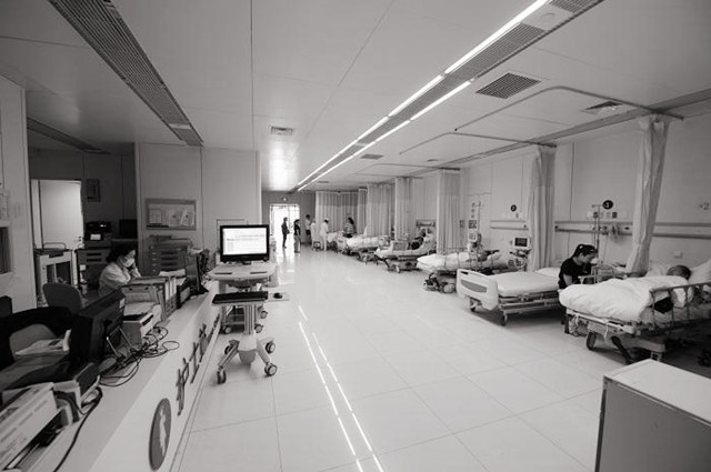 东莞被火化女孩得救十年后成画家,1995年东莞打工妹在殡仪馆火化