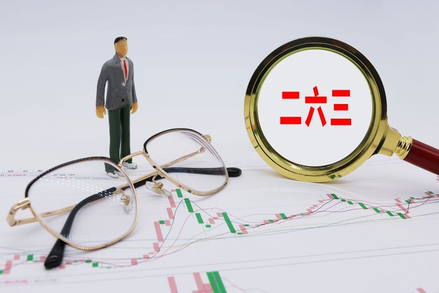 二六三：行业龙头稳定增长，开启坚实增长之路