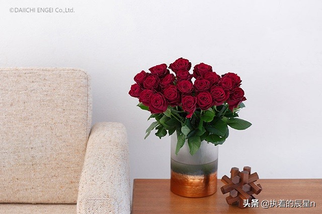 女孩你真的了解玫瑰花吗？三个步骤让你明白男朋友送你玫瑰的意思