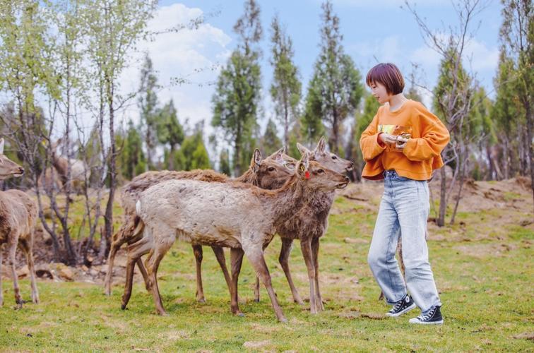 郑州春节亲子游十大必去景点,五一郑州周边游玩推荐景点