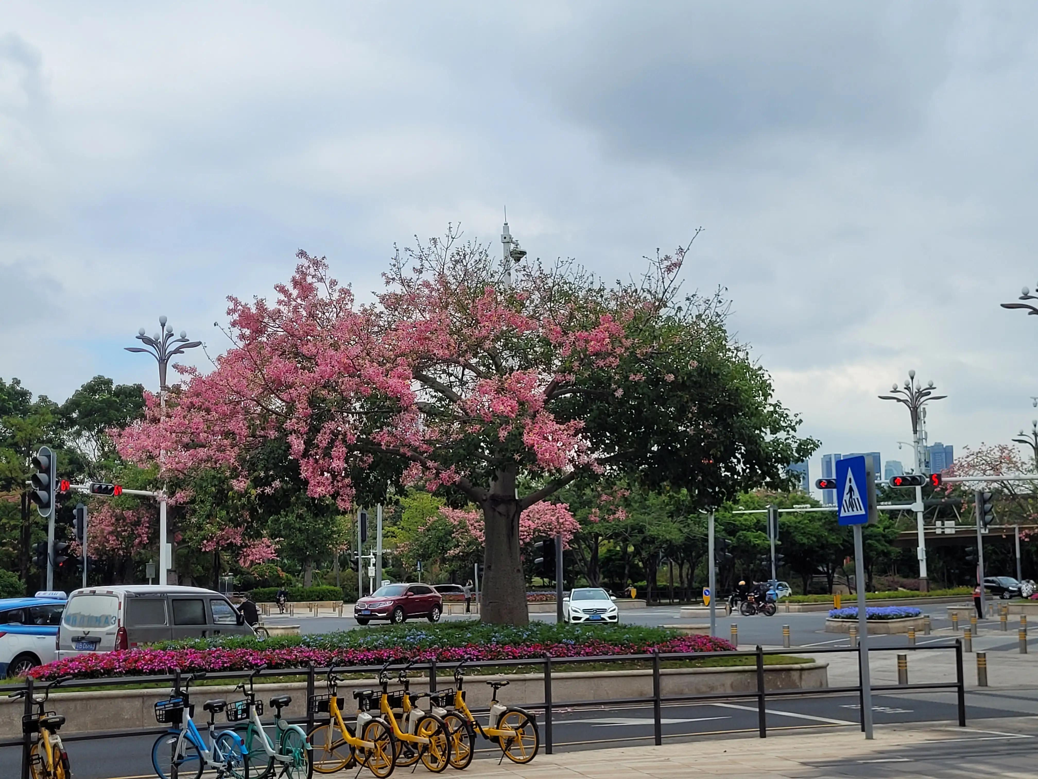 大宝多动症在深圳的就医历程