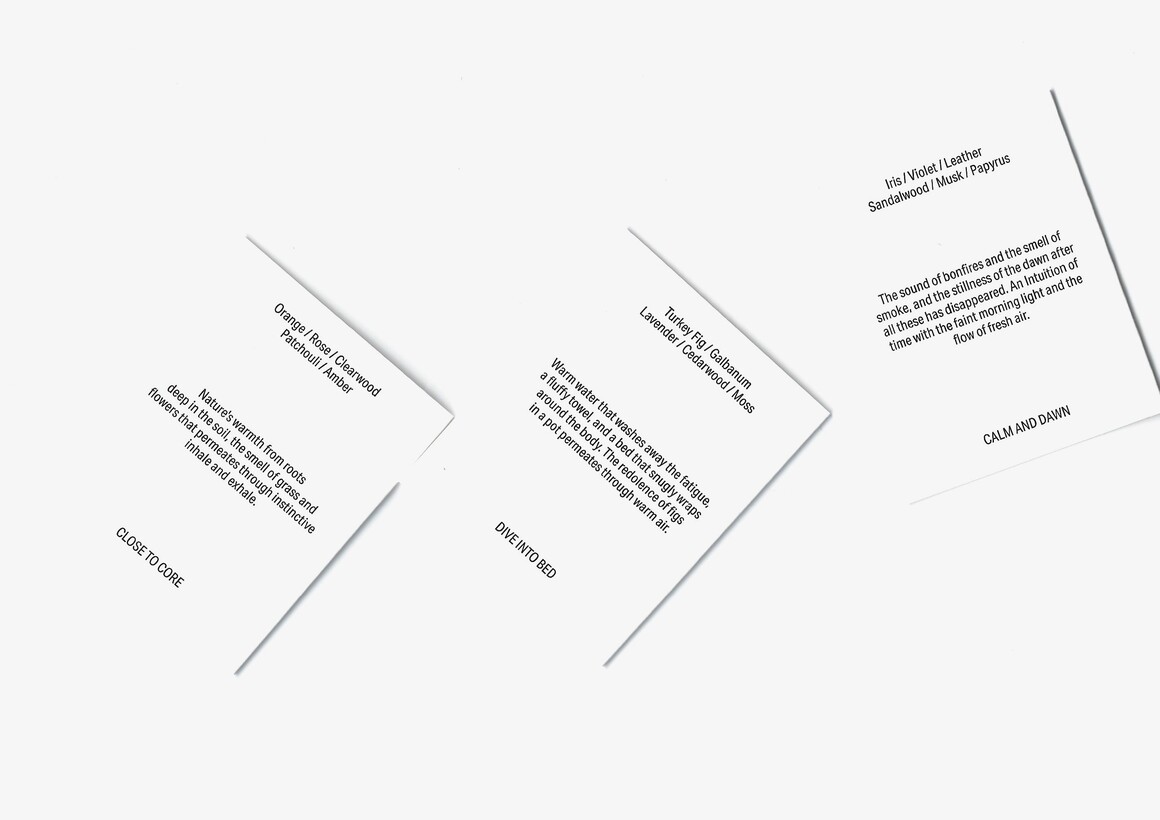 品牌logo包装设计插画,羽翼包装logo设计