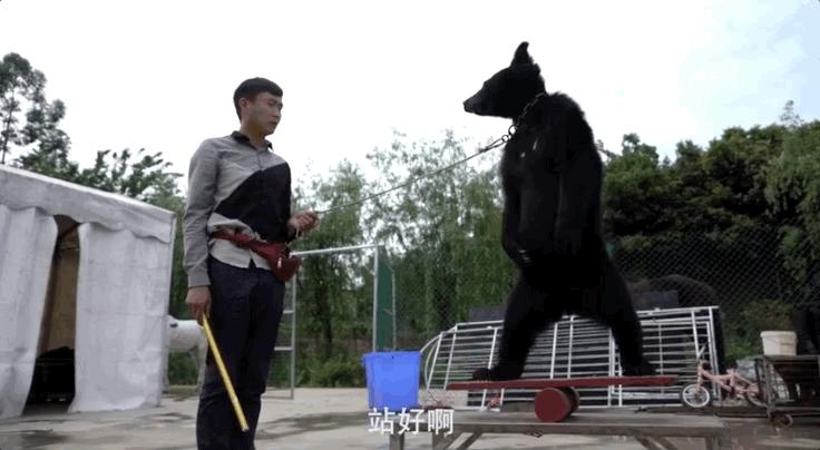 全网最近大事件,最大丑闻案件