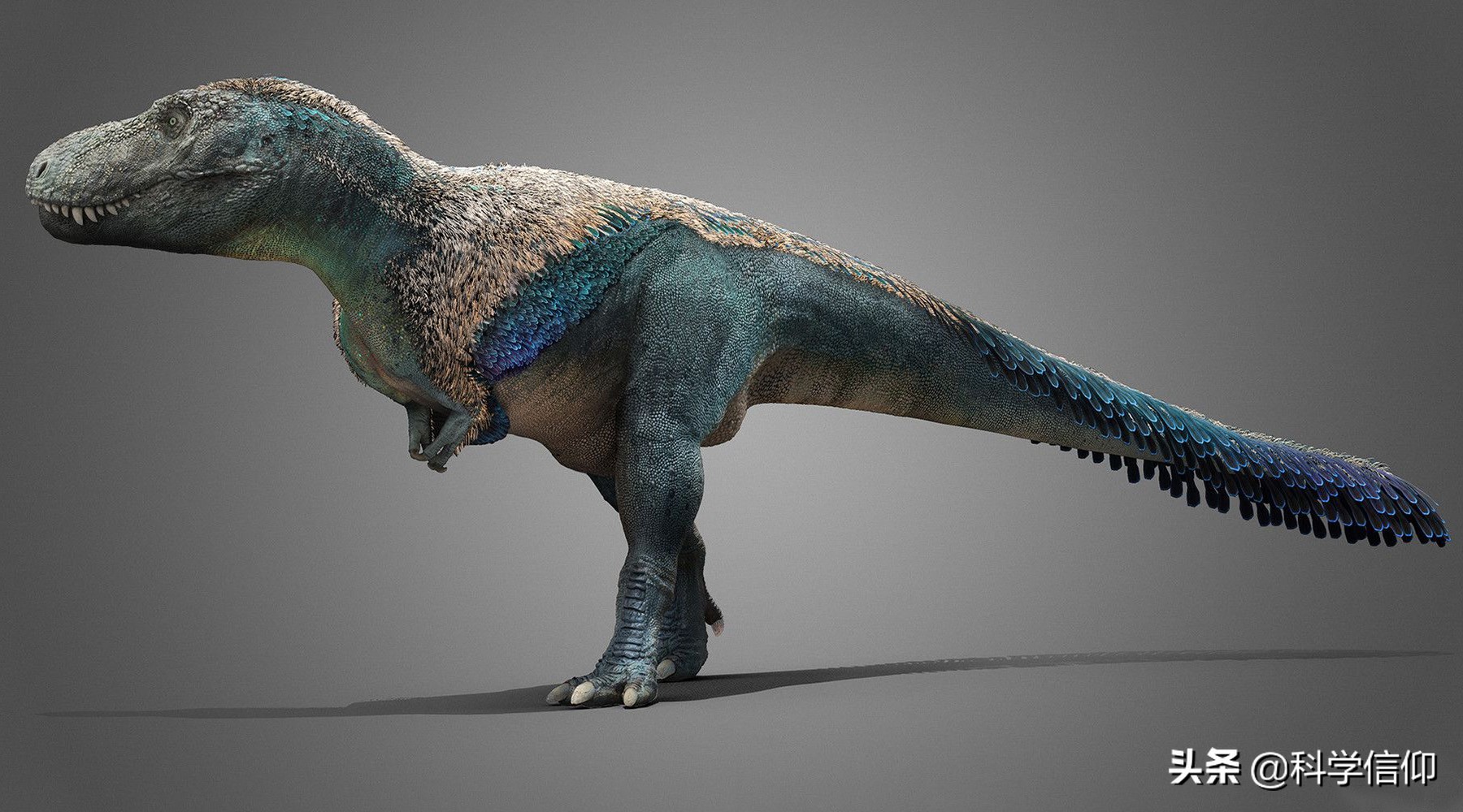 谁是最强的霸王龙,霸王龙和巨兽龙哪个最厉害