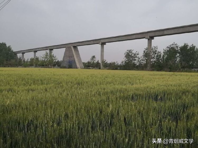 七律小满吟,吟小满七律诗词