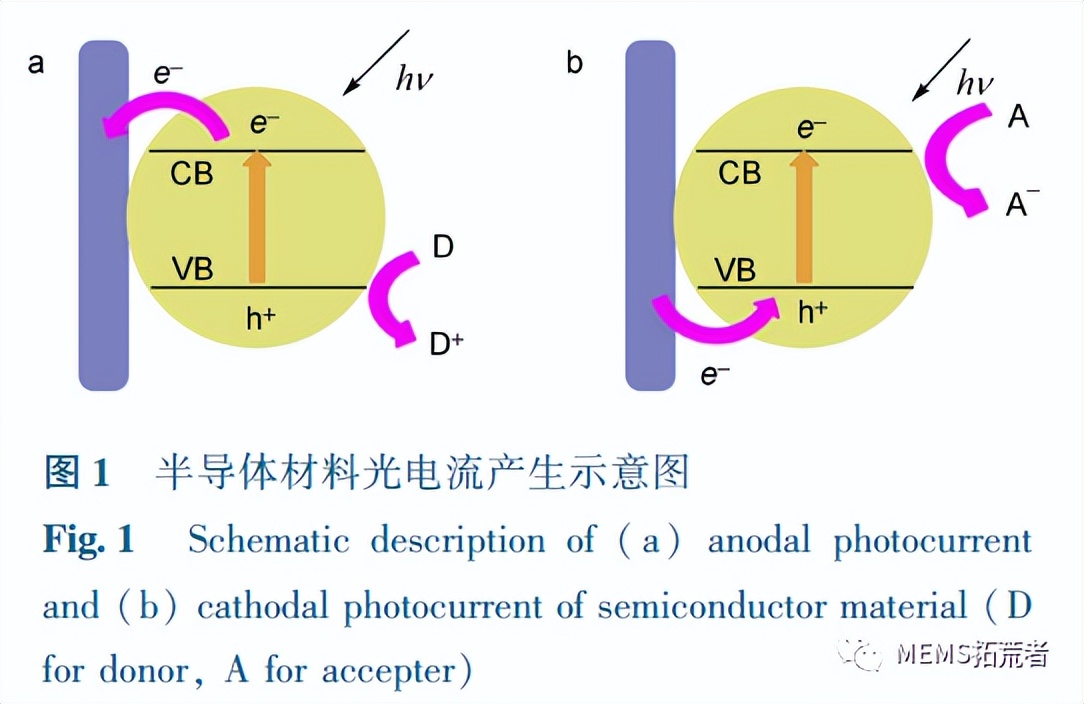 基于电位计的生物传感器进行生物标志物检测的研究进展（下篇）