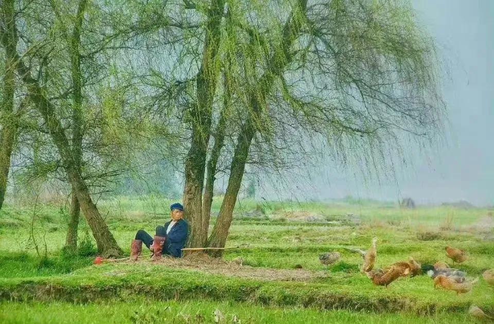 你还知道哪些关于清明节的知识,你知道关于清明节的习俗和诗句吗