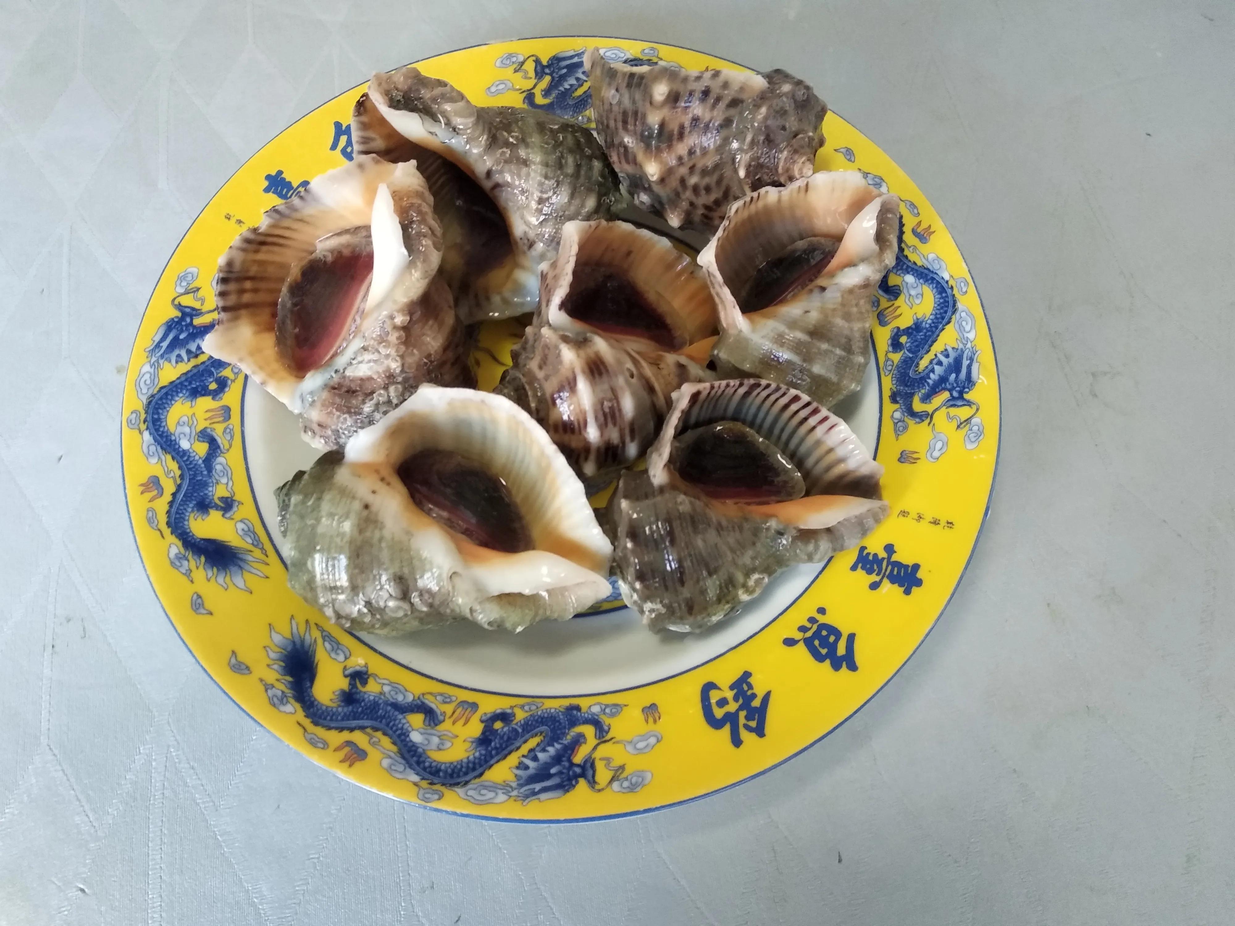 这个季节适合吃的小海鲜,春季肥美的小海鲜