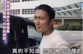 内娱小天后杨幂,内娱杨幂地位