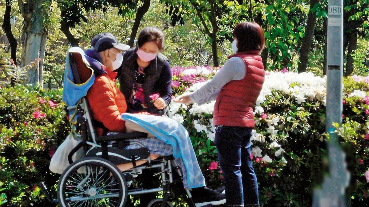 王馨平的爸爸是谁,王馨平的父亲个人简介