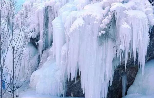 散文老家小院,怀念老家的散文