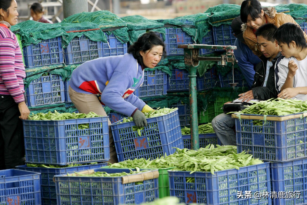 云南冬季最暖和的小城,云南昆明适合北方人过冬吗