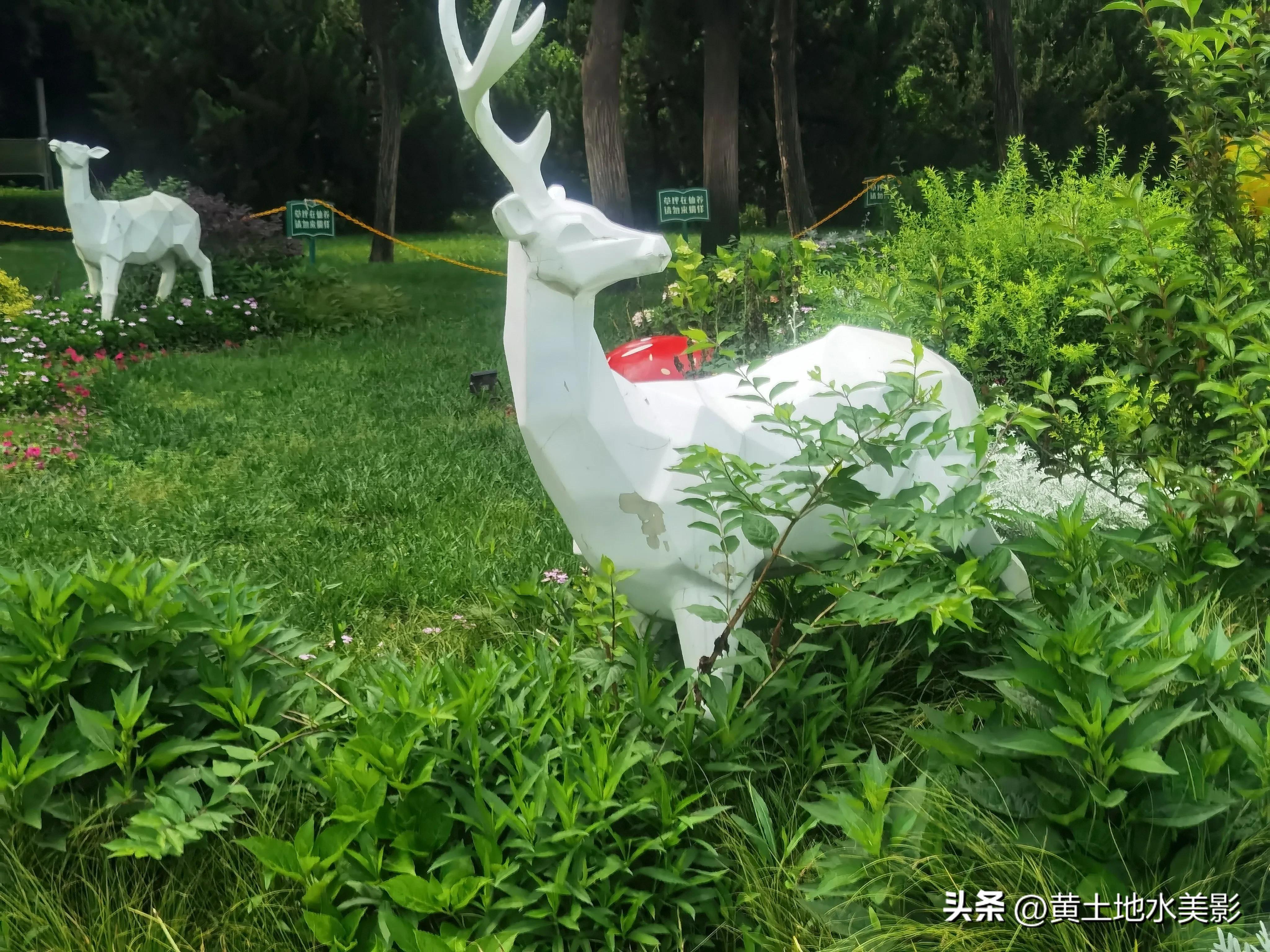 郑州儿童节周边游,郑州室外适宜小朋友游玩的景点