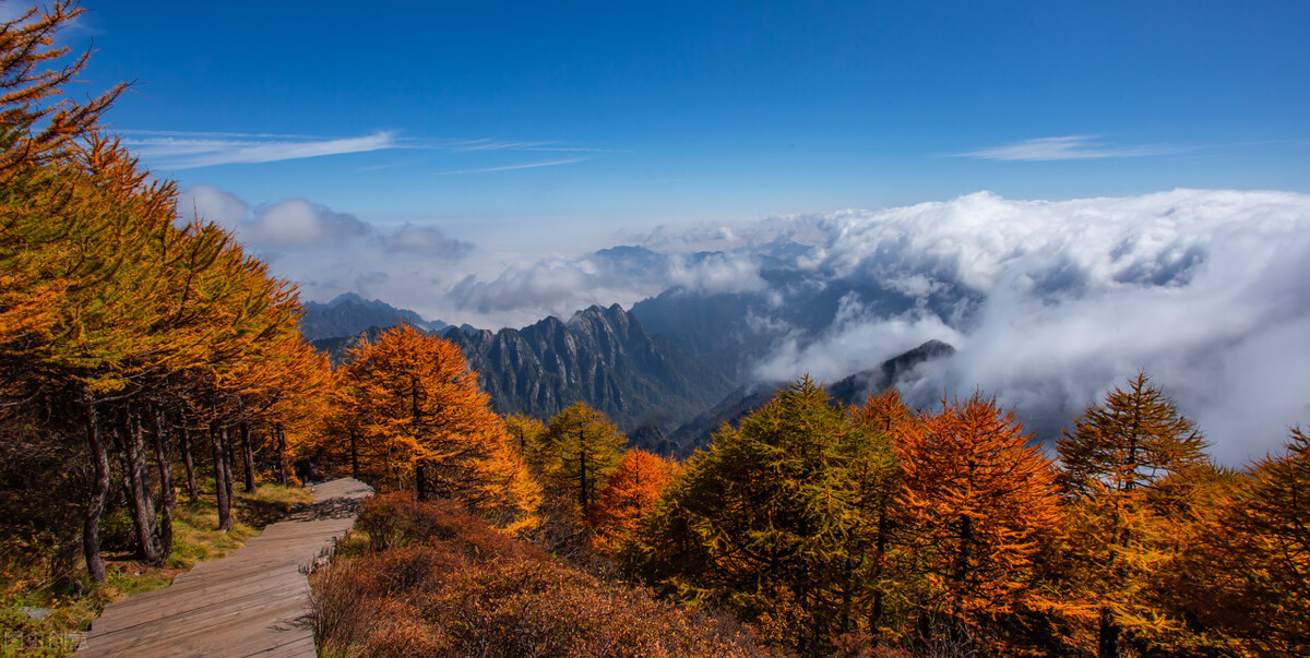 慢性前列腺炎民间老偏方,前列腺炎老中医治疗