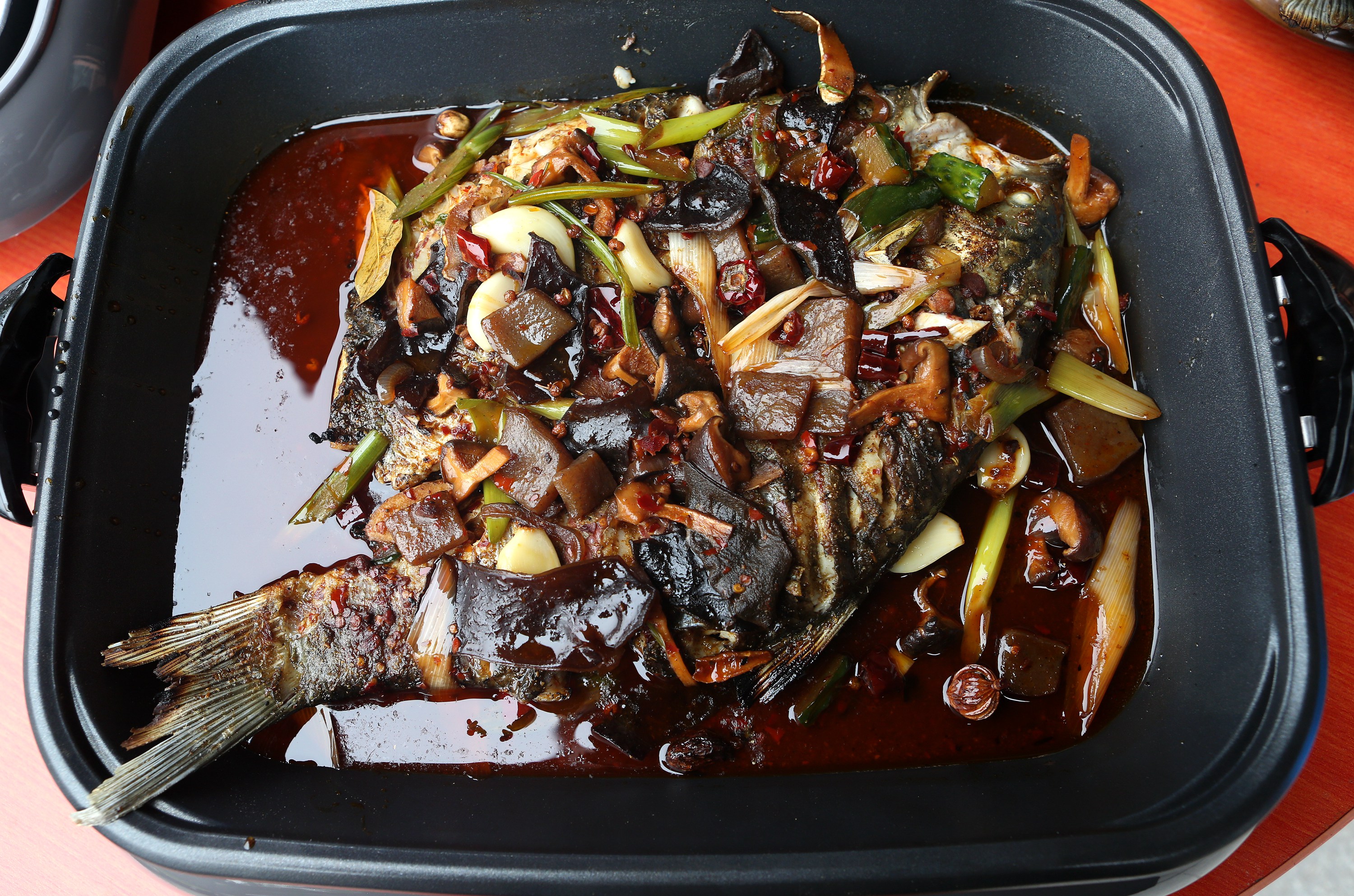 远古时代烤鱼,从远古走来完整版