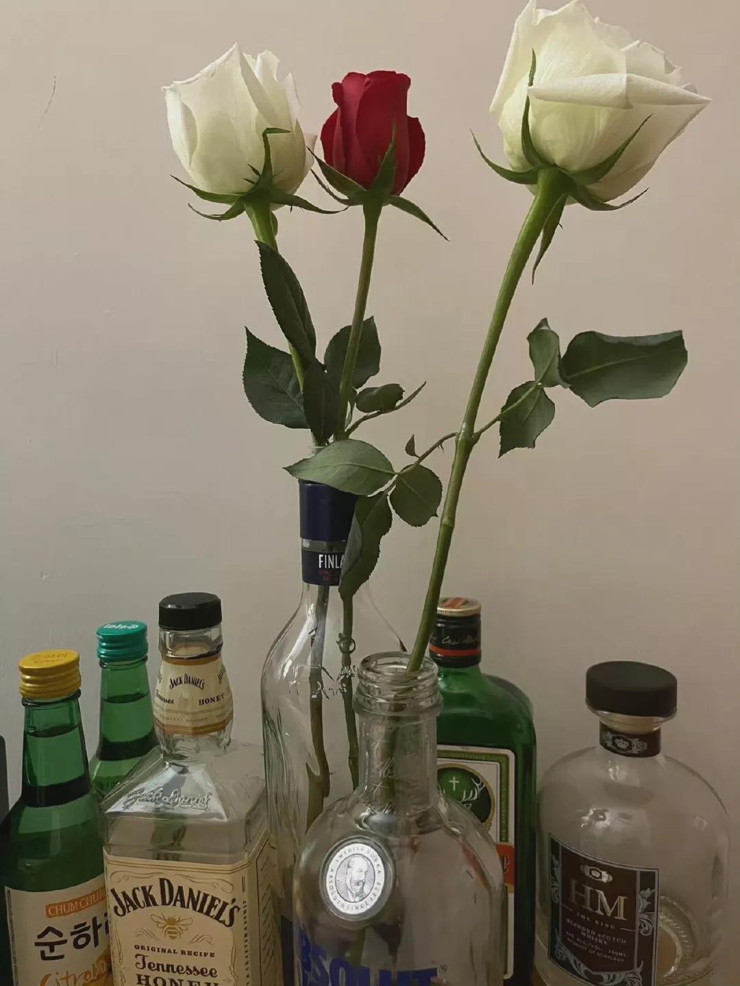 冬日午后阳光惬意文案,春日的慵懒和浪漫文案