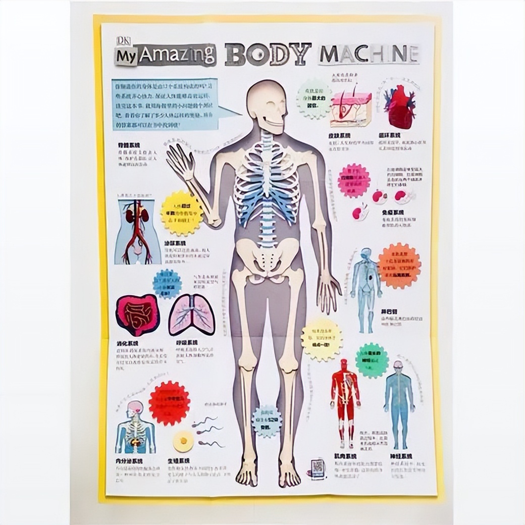 “妈妈,你那里为什么会有毛毛?”这位妈妈的回答亮了