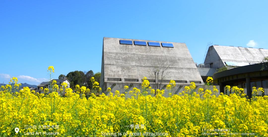 iChongqing丨春日里的乡村美出“国际范”！
