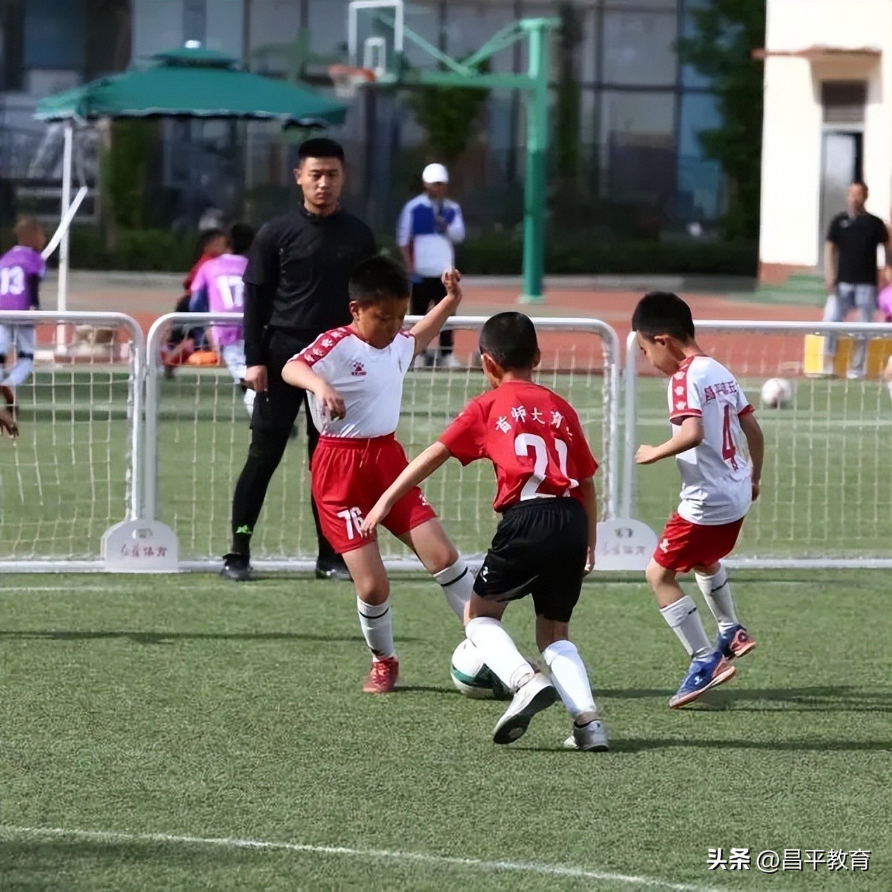 校园竞技体育的魅力,校园青春比赛