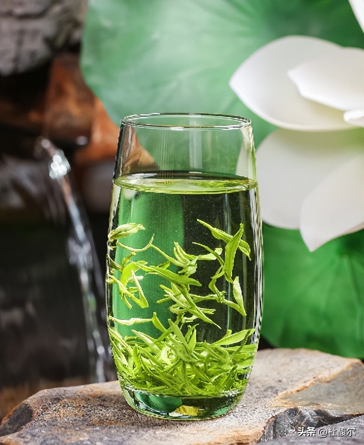 夏天的第一杯茶饮 (分享夏天第一杯奶茶)