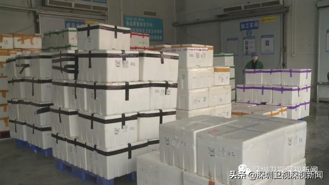 深圳多举措保障春运出行,深圳多渠道保障多措并举