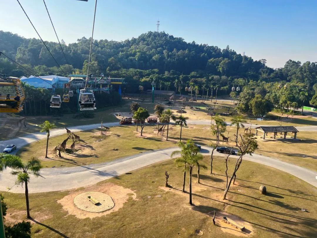 广州长隆野生动物世界有大象吗,广州长隆野生动物世界有多少动物