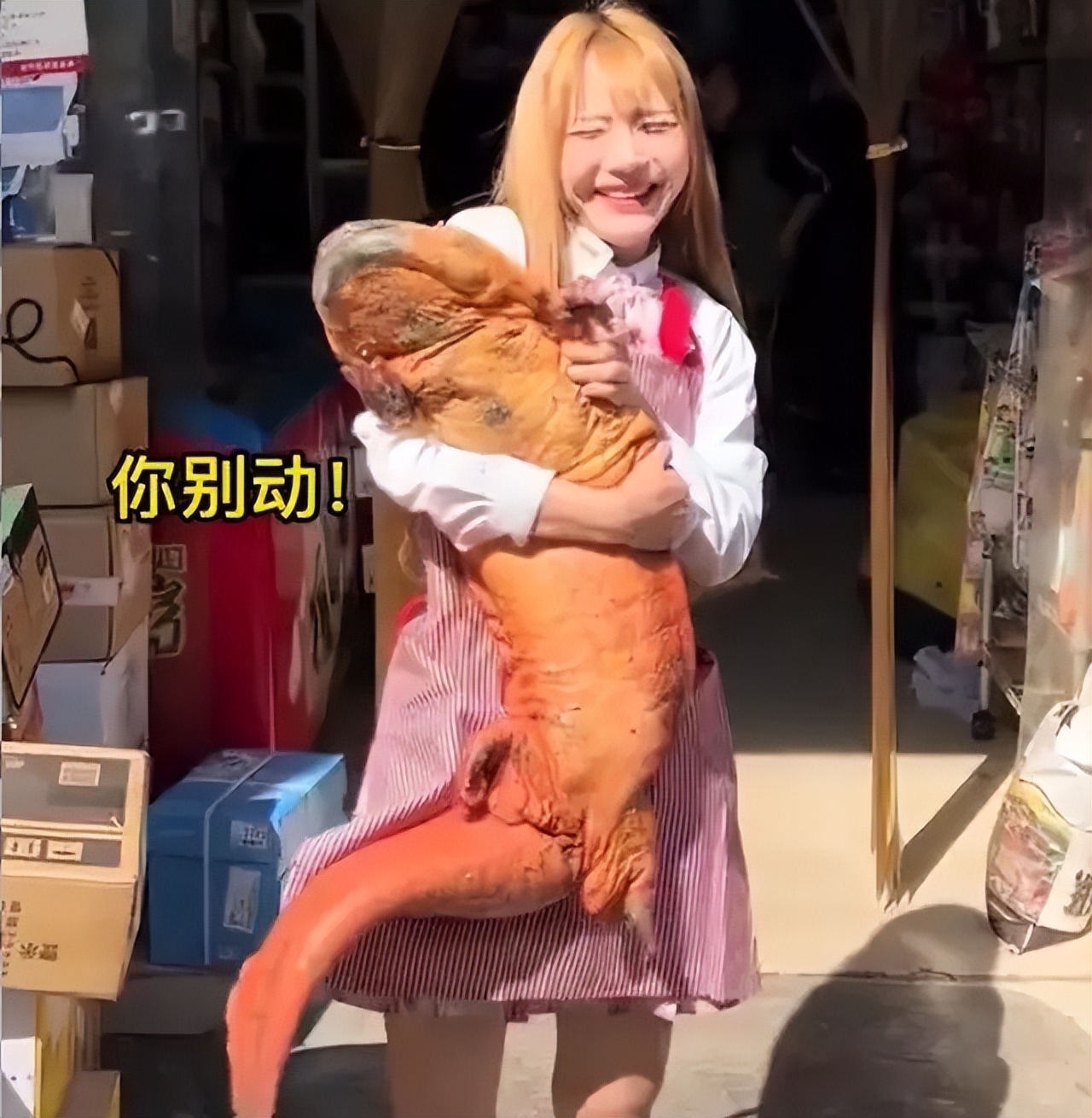 百万网红提子啃食鲨鱼原视频,四川网红提子吃鲨鱼完整视频